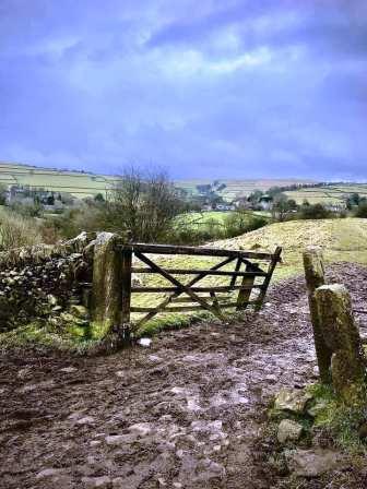 Gritstone Trail approaching Rainow