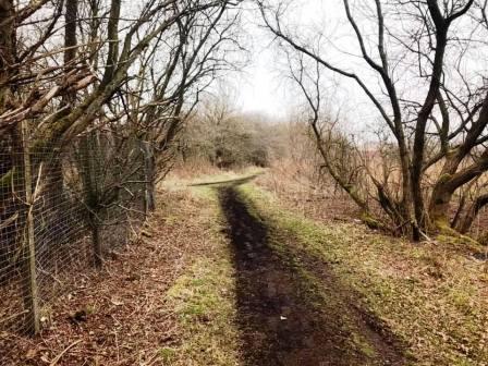 Public footpath on the northern part of Danes Moss