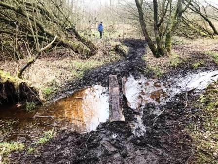 One of several slightly precarious crossings!