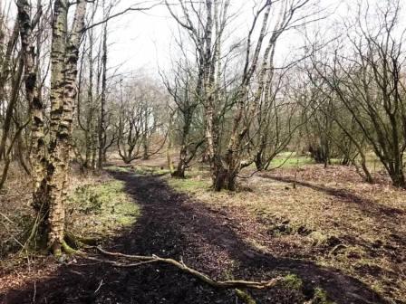 Macclesfield South Development Area, Danes Moss