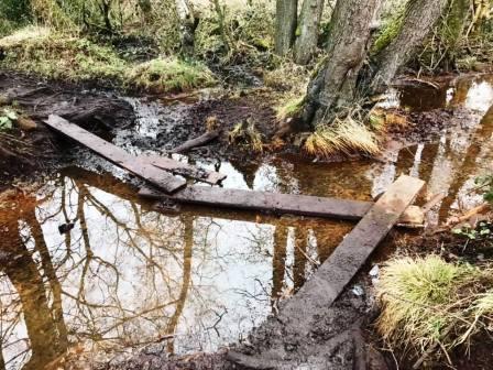Another "rudimentary" crossing!