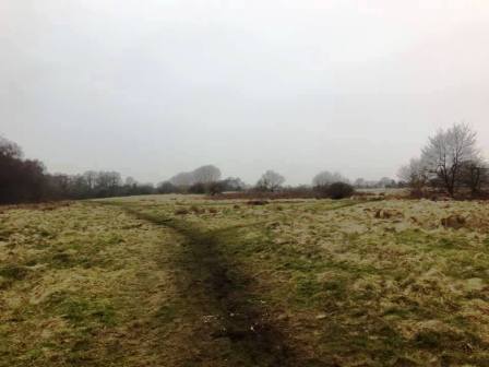 Danes Moss (North)