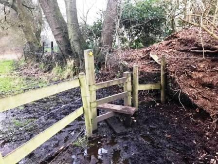 Tricky stile crossing in deep bog!