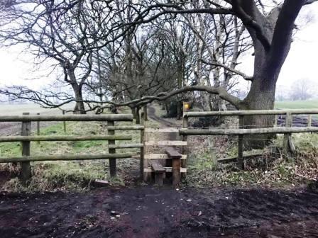 Tree-lined footpath to the nature reserve