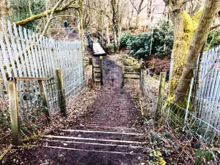 Coming off the footbridge into the nature reserve