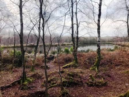 Danes Moss Nature Reserve