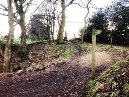 Crossroads of paths - go straight ahead