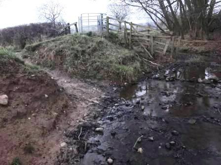 Bog crossing in Symondley Farm