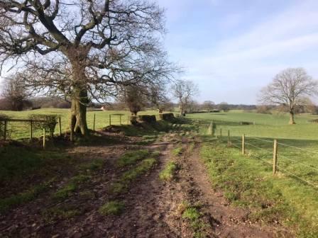 Public footpath through Newbarn Farm