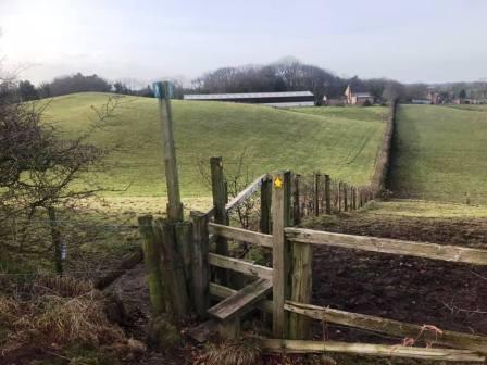 Turn left at this junction of paths