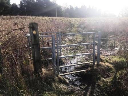 A rather boggy bit!