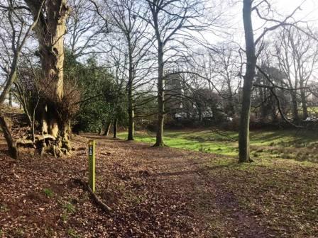 Footpath heading towards the church in Gawsworth
