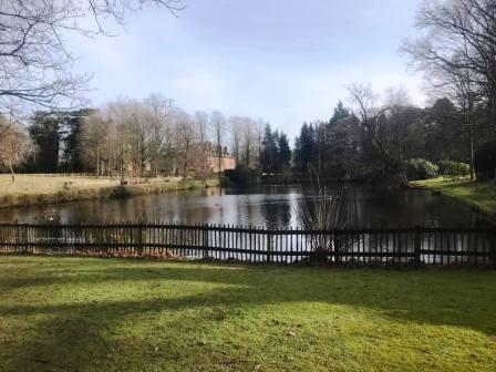 One of several pools near Gawsworth Hall