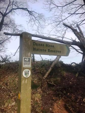 Right turning at the crossroads of paths