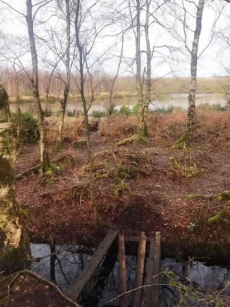 One of the pools to the left of the path.  Accessible - if you dare - by some precariously placed planks!