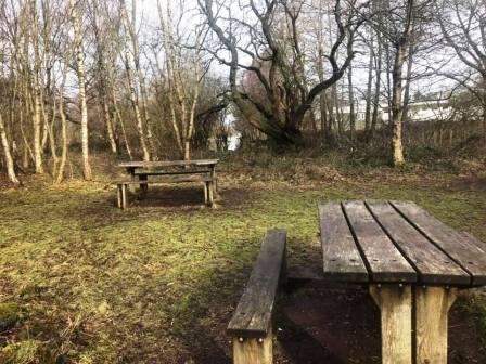 Picnic area where the path from the nature reseve meets the canal