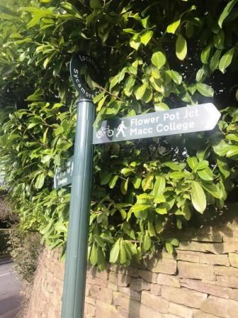 Continuing the Flower Pot Greenway into Sycamore Cresent