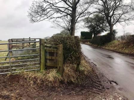 Woodhouse Lane