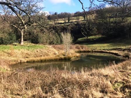 Pool to the right of the track to Lower Swanscoe Farm