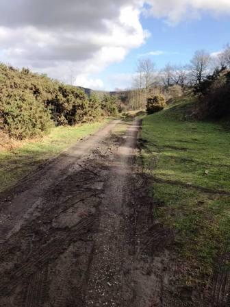 Track around the foot of Kerridge Hill, below White Nancy