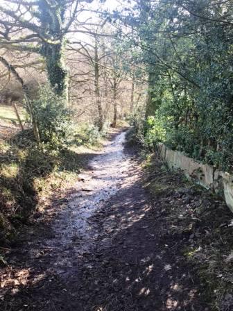 Woodland path towards Rainow