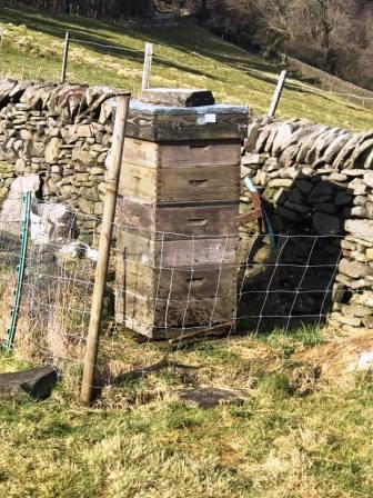 A very active beehive!