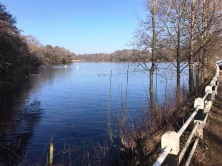 Redesmere