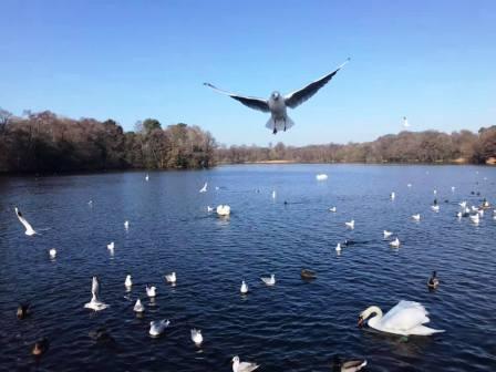 In flight...