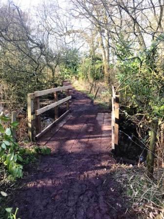 Footpath to Capesthorne