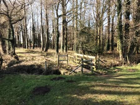 Footpath at Redesmere