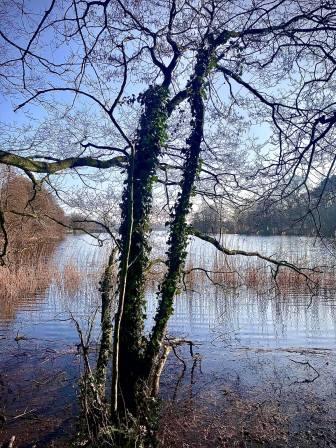 Redesmere