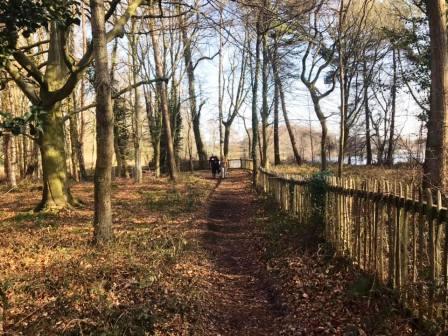 Footpathn north of Redesmere