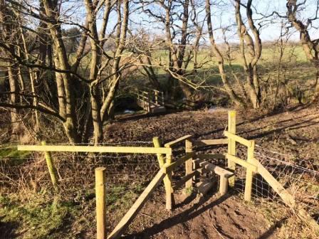 Boggy section in Brook House Farm