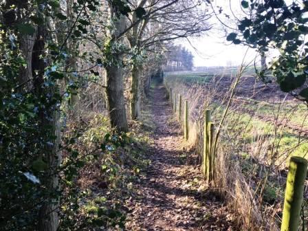 Heading into Astle Farm (East)