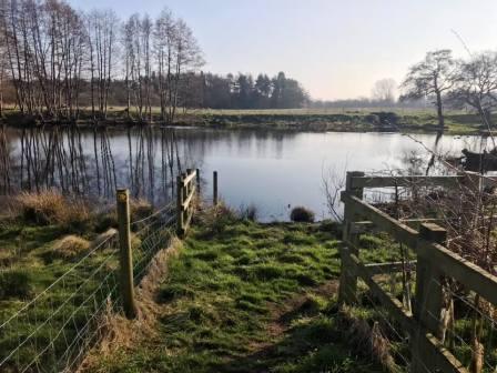 Fishing pool at Astle
