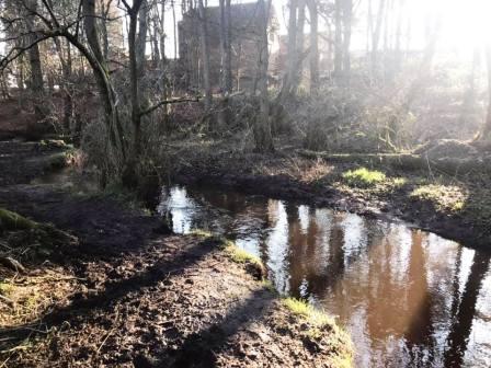 Muddy path following the stream in the wood