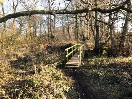 Continuing to follow Snape Brook in the wood