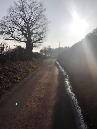 Mill Lane