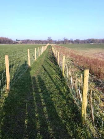 Continuing the footpath around the quarry
