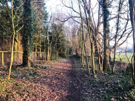 Bridleway near Siddington