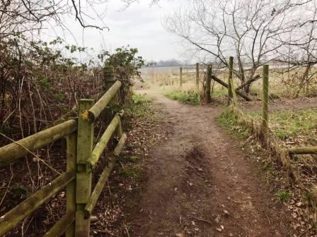 Sandle Heath