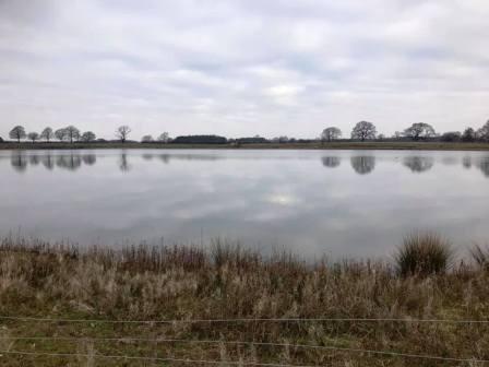 Sandle Heath