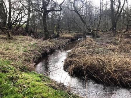 Snape Brook beside Mill Lane