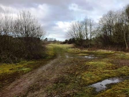 Track through the quarry area between the public footpaths