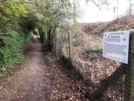 Chelford Buzzy Bees Woodland Walk
