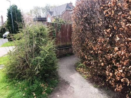 Cut-through path from Woodland End