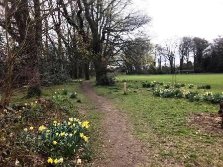 Path between the school and football pitch