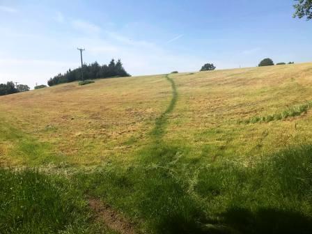 Follow the trodden trail over the small mound