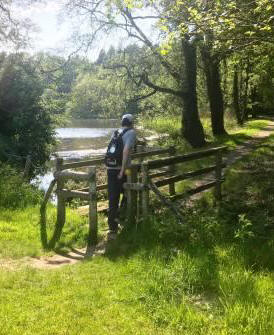 ...but then turn right over the footbridge