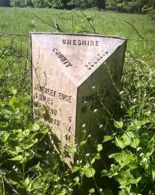 Interesting waypost on the A34